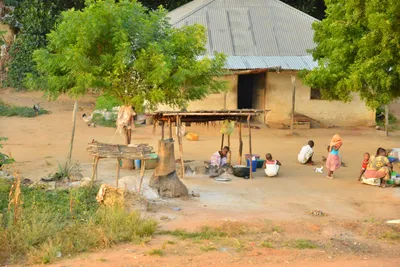 DSC_4297 (Large).JPG